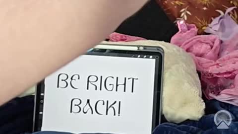 Lunar Fae Stellaris online show from February 13, 2:46 pm