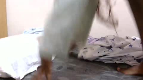 lunargoddess45 online show from March 3, 3:12 am