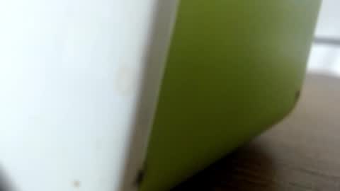 luna online show from October 5, 2:10 am