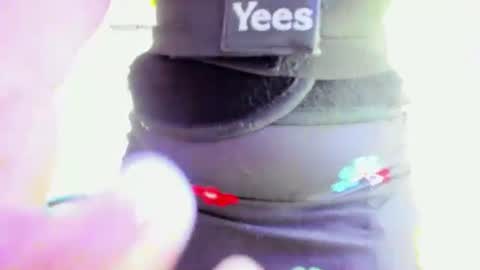 luna online show from February 19, 4:36 pm