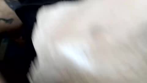 lust_khali online show from February 1, 12:37 pm