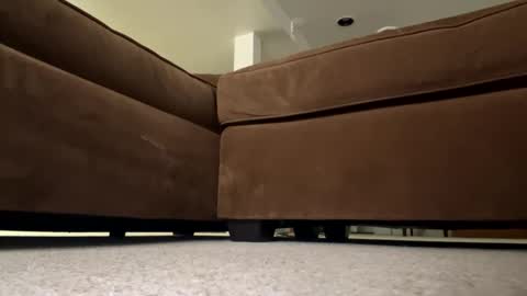 luv_2_master_bate online show from September 23, 7:06 pm