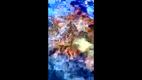 Peter Jacksone online show from January 10, 8:54 pm