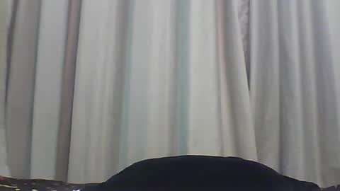 Bee Bee online show from January 8, 2:47 am