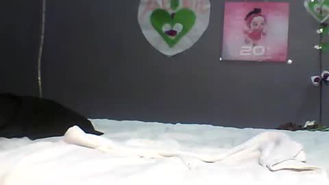 Bee Bee online show from February 22, 5:33 pm