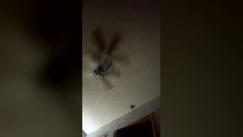 lvckthegoat online show from March 12, 8:09 am