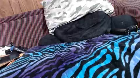 Lyke2fuck online show from February 6, 11:32 am