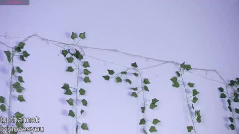 Lyly   online show from November 13, 5:39 am