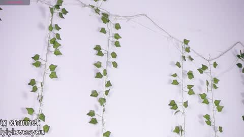 Lyly   online show from January 13, 5:46 am