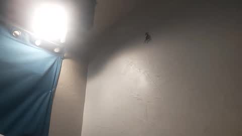 Snapshot of mac11thizzelw chatting on March 31, 2:50 pm mac11thizzelw online show from March 31, 2:50 pm