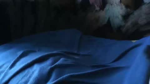 Snapshot of macho9385 chatting on September 24, 7:33 am macho9385 online show from September 24, 7:33 am