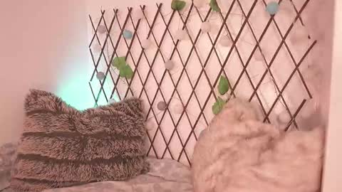 Noah Askew online show from November 28, 7:27 pm