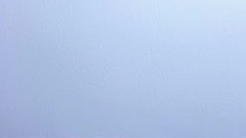  madame lilith  online show from January 28, 2:21 pm