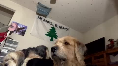 SummerPeach online show from December 6, 9:43 am