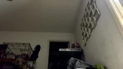 SummerPeach online show from January 11, 3:23 am