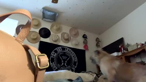 SummerPeach online show from January 19, 11:21 pm