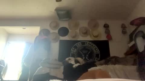 SummerPeach online show from February 5, 4:14 pm