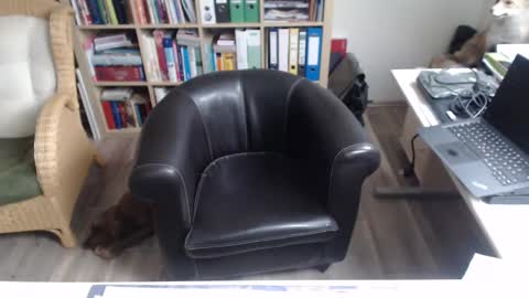 Snapshot of maddmax8 chatting on December 12, 1:28 pm Mad4You online show from December 12, 1:28 pm