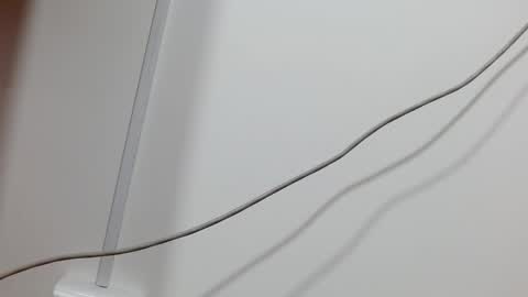 Maddy UwU online show from December 21, 12:16 pm