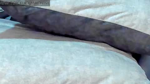   online show from February 8, 7:48 am