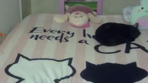 maferchavez88 online show from February 22, 10:19 pm