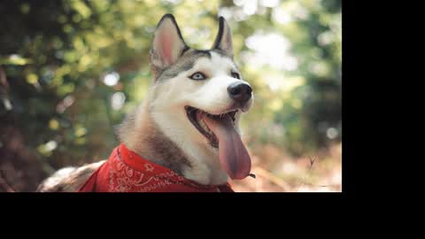 magic_katarina_ online show from January 25, 8:31 am