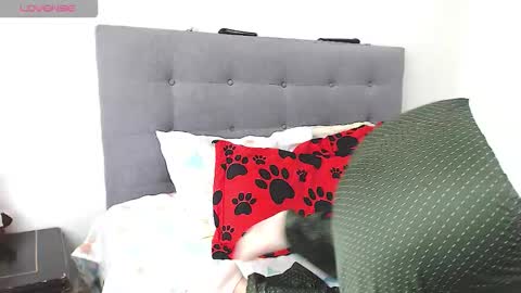 magic_stephany__ online show from February 4, 1:28 pm