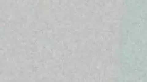 Snapshot of majestic_bella chatting on May 10, 2:22 pm Bella online show from May 10, 2:22 pm