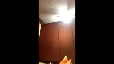 Snapshot of makinziirain chatting on February 21, 12:11 am KarizmaticKitten online show from February 21, 12:11 am