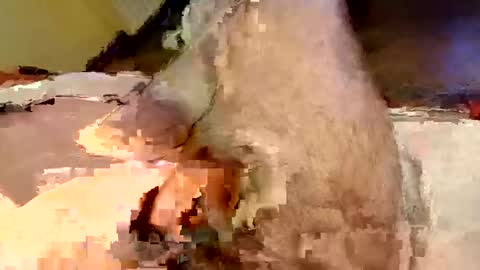 mako998843 online show from February 15, 7:32 pm