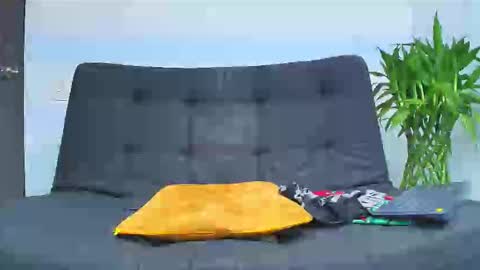 Malcom online show from February 6, 2:16 am