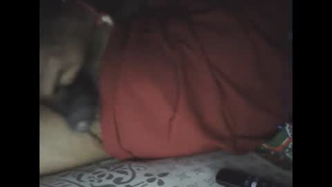 Sree0703 online show from February 24, 6:04 pm