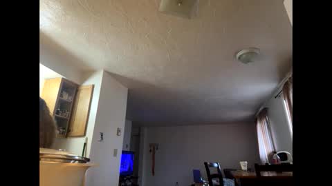 Snapshot of mamaboozey chatting on March 1, 10:01 pm mamaboozey online show from March 1, 10:01 pm