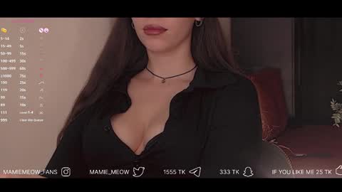 Snapshot of mamiemeow chatting on February 12, 1:16 pm Your Miss Alice online show from February 12, 1:16 pm