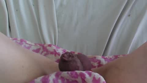 Snapshot of manclitpatsy chatting on February 22, 5:35 pm .. .. online show from February 22, 5:35 pm