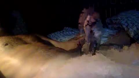 Snapshot of mandalay3 chatting on November 9, 10:13 am mandalay3 online show from November 9, 10:13 am