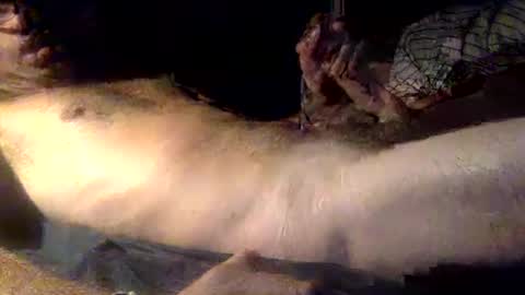 Snapshot of mandalay3 chatting on December 16, 5:12 am mandalay3 online show from December 16, 5:12 am