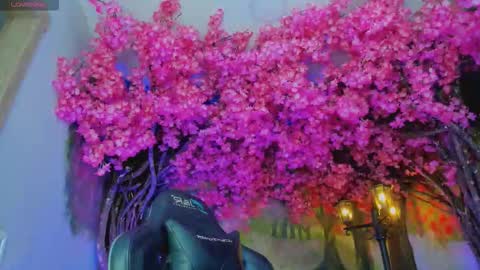 Mara Hanson online show from January 7, 7:05 pm