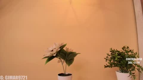 Marcela online show from September 29, 1:22 am