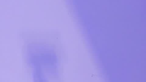 MARCELO online show from January 26, 6:28 am