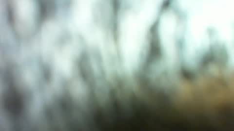 Marc online show from March 26, 2:28 am