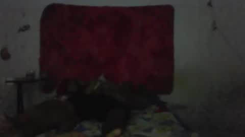 Snapshot of mariaevamotta5 chatting on February 1, 9:13 pm casal delicia online show from February 1, 9:13 pm