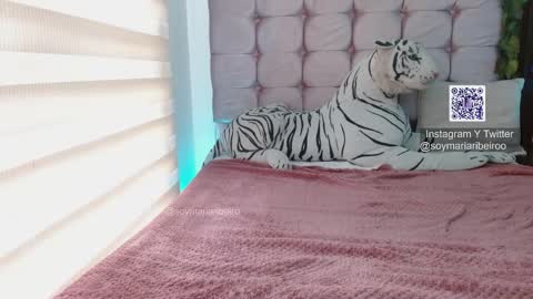 mariaribeiro online show from January 7, 7:49 pm