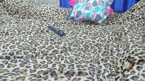 Marie   online show from January 23, 1:56 pm