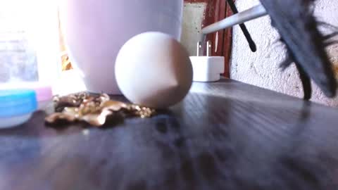 LEAH online show from March 1, 9:07 am