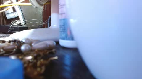 LEAH online show from March 9, 4:05 am