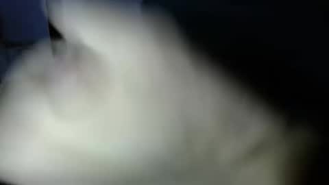 mark_270 online show from April 3, 6:06 pm