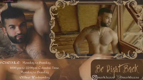 Mark online show from January 31, 3:30 am