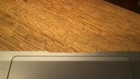 marklondonguy2023 online show from November 27, 9:22 am