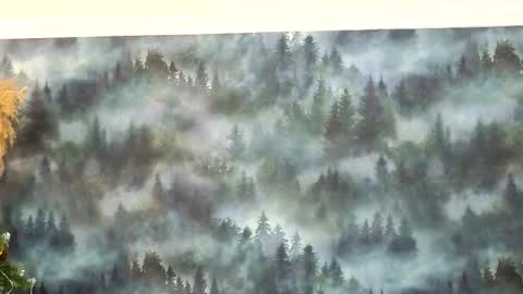 markshot_ online show from December 14, 10:58 pm